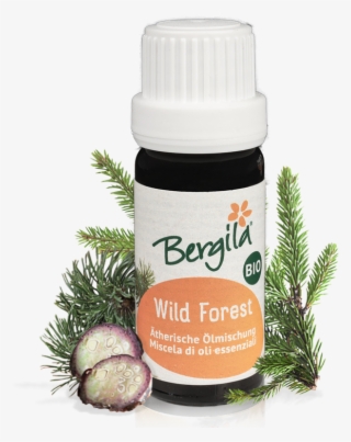 Christmas Tree #9169545