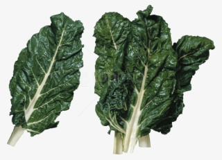 Free Png Download Salad Png Images Background Png Images - Green Leafy Vegetables Transparent Background #9169668