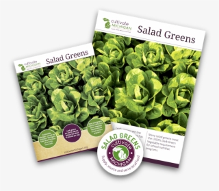 Cultivate Michigan Materials Promo - Broccoli #9169818