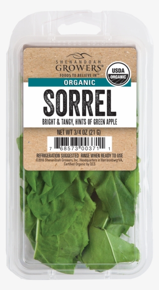 Chard #9169826