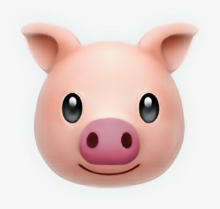 #emoji #pig #pink#freetoedit - Iphone Emoji Pig #9170084