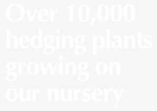 Top Hedging Products - Accor Hotels White Logo #9171673