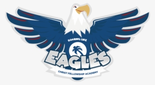 Bald Eagle #9171955 Bald Eagle #9171955