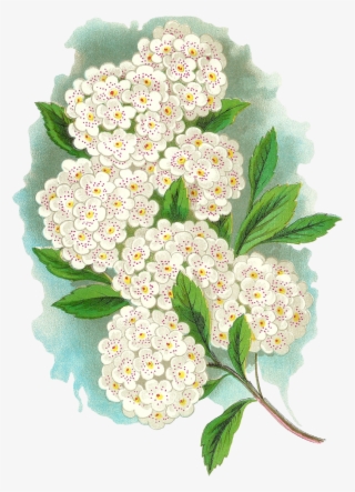 Vintage Flower Artwork Download - Bouquet #9173938