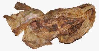 Stock Fish Head - Igneous Rock #9174675