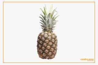 Pineapple Transparent - Pineapple #9174786