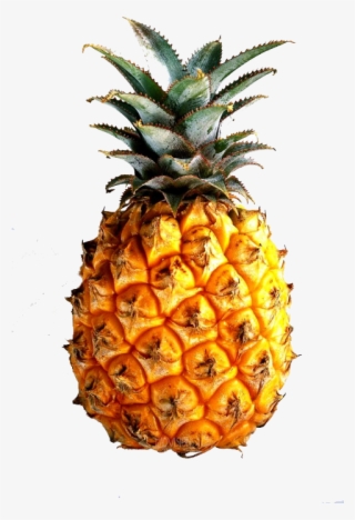 40 Images About On My Earrings On We Heart It - Fibonacci Fruit #9174824