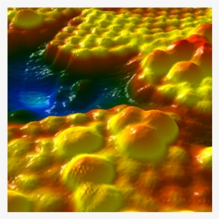 Virus Research - Visual Arts #9175381