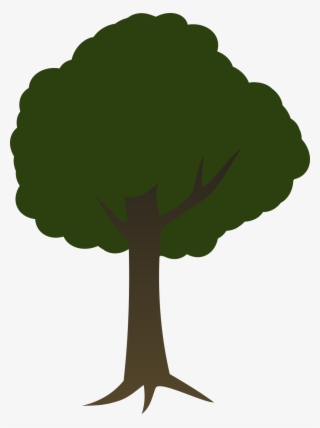 Tree - 2d Tree Transparent Background #9177040