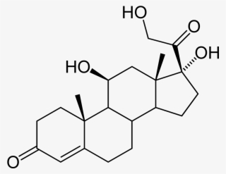Cortisol 2d Skeletal - 17 Alpha 20 Beta Dihydroxy 4 Pregnen 3 One #9177105
