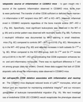 The Small Intestine Of Ec-cd36ko Mice Exhibited Increased - Record Of Transfer For Trinity School #9177163