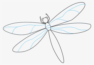 How To Draw Dragonfly - Dragonfly #9178279