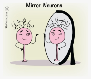 "mirror Neurons" In The Brains Of Animals And Humans - Mirror Neurons Png #9178560