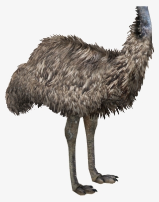 Type A - Emu #9179566