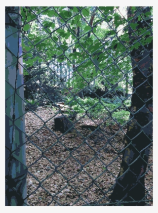 Fence Branching #9179650 Fence Branching #9179650