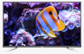 Skyworth 40″ Digital Led Television 40e2d - Butterflyfishes #9179818