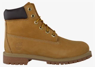 Camel Timberland Ankle Boots 6in Prem Rust Womens - Veterboots Geel Dames #9182064