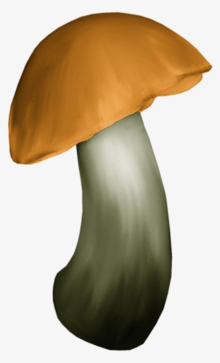 Яндекс - Фотки - Shiitake #9183267