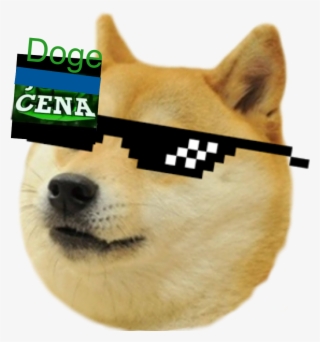 Get Rekt Glasses - Mlg Doge #9185250