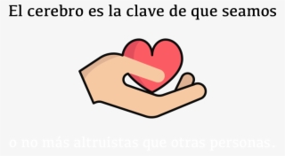 El Cerebro Es La Clave De Que Seamos O No Más Altruistas #9187520