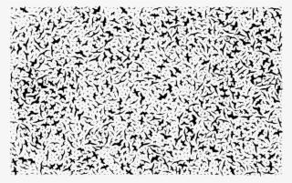 Flight Bird Line Art Black Free Commercial Clipart - Monochrome #9188332