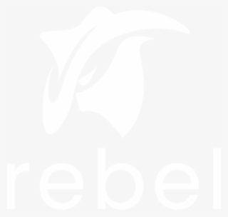 Logo - Netflix Switched At Birth #9188712