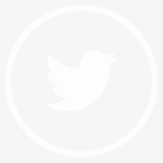 Nl-twitter - Twitter Icon Gray Circle #9188843
