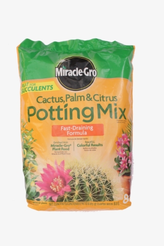 Springtime Planting - Cactus Soil #9189111