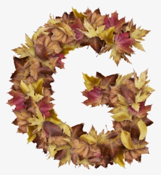 Letter G From Dry Leaves - Sweet William #9189280
