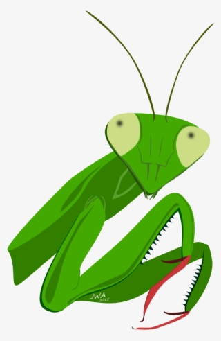 Clip Art Insect Animal Honey Theme - Mantis #9191043