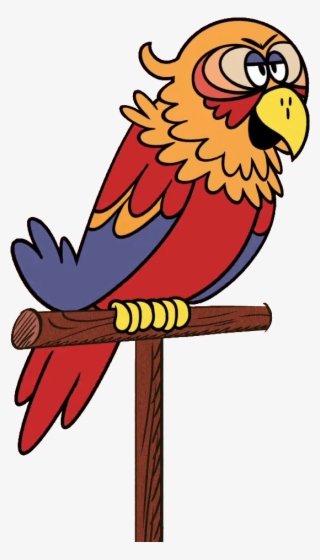 Download - Macaw #9192236