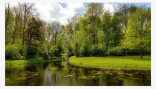 Score 50% - Lg 24mp58vq P #9192451