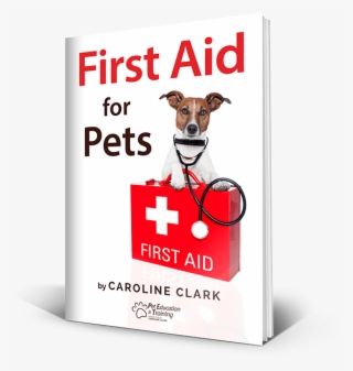 What Of Mas Of Our Classical & Who Want Every Unavailable - Companion Dog #9192949