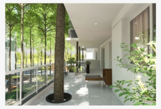 From Caves To Mana Tropicale - Window Screen #9192973