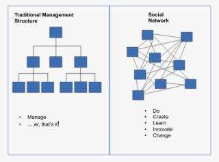 Hierarchies & Networks - Hierarchy Vs Social Network #9193762