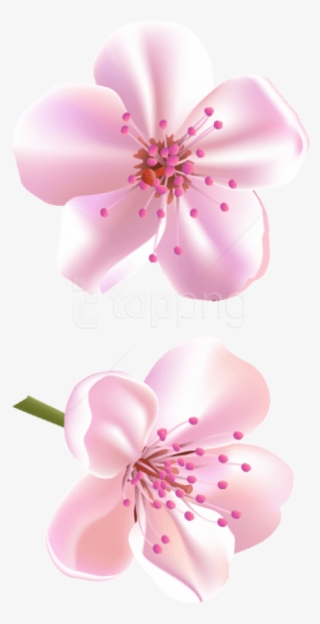 Free Png Download Spring Pink Tree Flowers Png Images - Clip Art #9194189 Free Png Download Spring Pink Tree Flowers Png Images - Clip Art #9194189