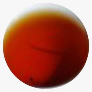 Black Forest Wu Liang Mountain Golden Black Tea, Spring - Circle #9194369