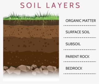 Soil-layers - Layers Of Soil #9194527