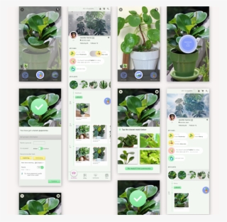 Hi-fi Wireframe - Houseplant #9195245