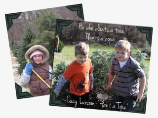 Treepageslider2 - Fw - Christmas Tree #9195423