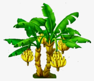 Name Five Plants That We Can Eat #9195426