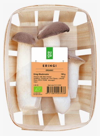 Eringi Grybai #9195937