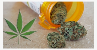 Pot May Be More Effective Than Adderall For Treating - Cannabis #9196867