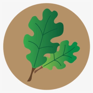 Lecanium Scale Icon - Gambel Oak #9196870