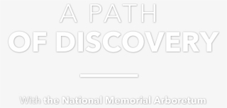 A Path Of Discovery With The National Memorium Arboretum - Keep Calm And Blame Sorcery #9198099