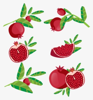 Vector Library Download Juice Fruit Icon Red Transprent - Delima Vector #9198582