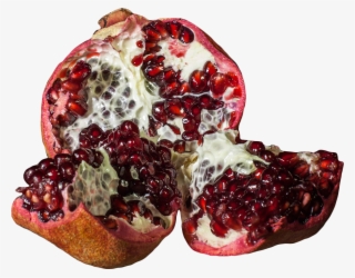 Enjoy The Gin Pure Or With A Classic Tonic On Frozen - Pomegranate #9198844