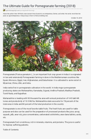 Pdf - Pomegranate #9199027