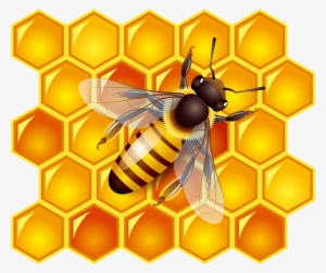 Bees Transparent Honey Australian Png Free Stock - Bee And Honey #920150