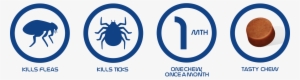 Kills Fleas And Ticks - Flea And Tick Png #920561